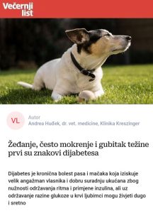 Žeđanje, često mokrenje i gubitak težine prvi su znakovi dijabetesa