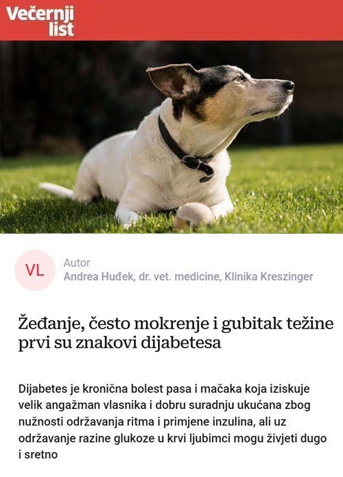Žeđanje, često mokrenje i gubitak težine prvi su znakovi dijabetesa
