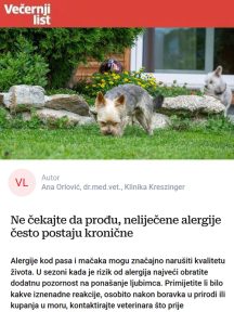 Ne čekajte da prođu, neliječene alergije često postaju kronične