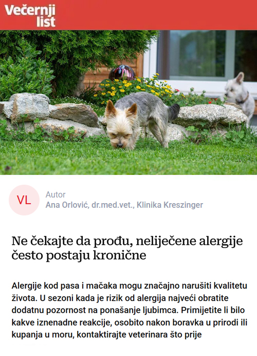Ne čekajte da prođu, neliječene alergije često postaju kronične